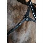 5-Point Breastplate with Elastic, DY'ON Black