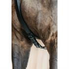 5-Point Breastplate with Elastic, DY'ON Black