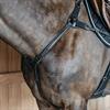 5-Point Elastic Breastplate D Collection Dy'on Black