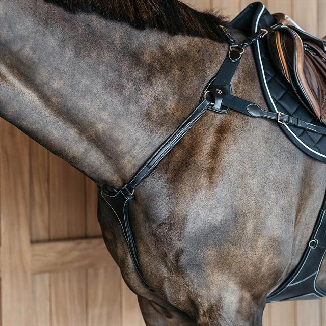 5-Point Elastic Breastplate D Collection Dy'on Black