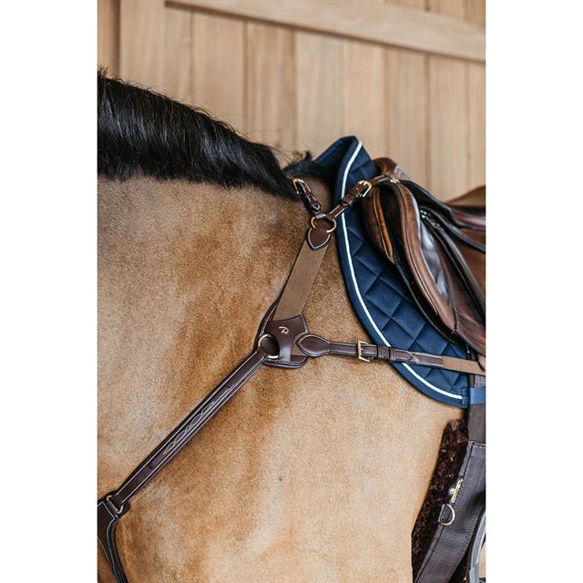 5-Point Elastic Breastplate D Collection Dy'on Brown