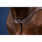 Anatomical Breastplate US Hunter Collection Dy'on Brown