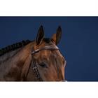 Anatomical Browband US Hunter Collection Dy'on Brown