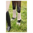 ANKY Proficient 3C Leg Protection Beige