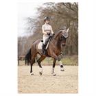 ANKY Proficient 3C Leg Protection Beige