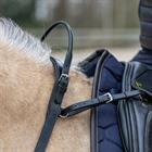 Balance Belt HORSEGEAR Black