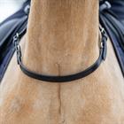 Balance Belt HORSEGEAR Black