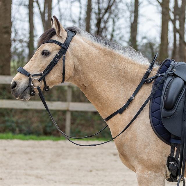 Balance Belt HORSEGEAR Black