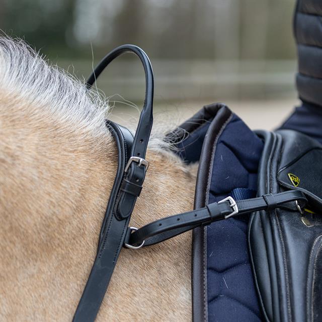Balance Belt HORSEGEAR Black