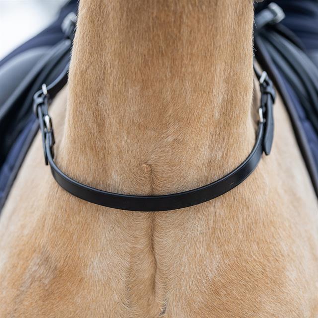 Balance Belt HORSEGEAR Black