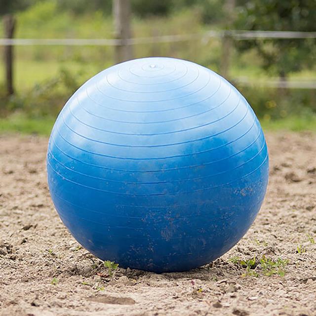 Ball Horses Large Blue