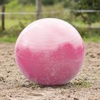 Ball Horses Large Pink