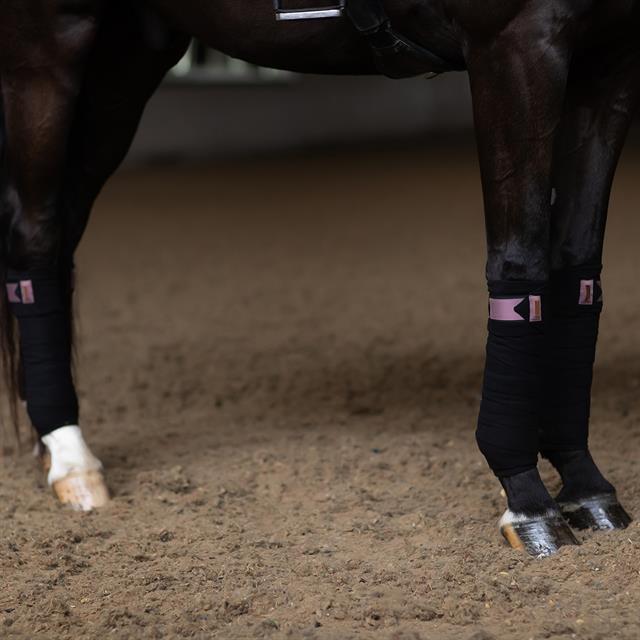 Bandages Equestrian Stockholm Anemone Black-Pink