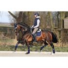 Bandages Horsegear Aurum Dark Blue