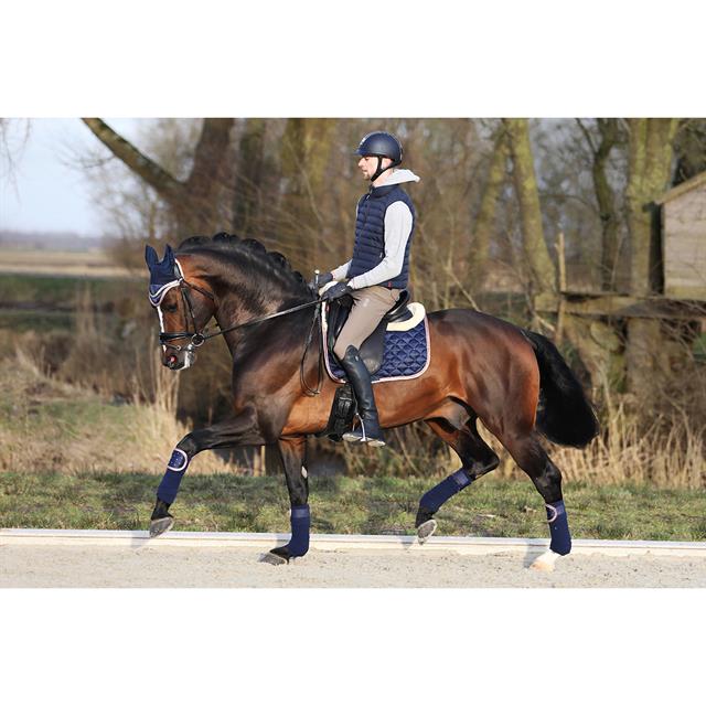 Bandages Horsegear Aurum Dark Blue