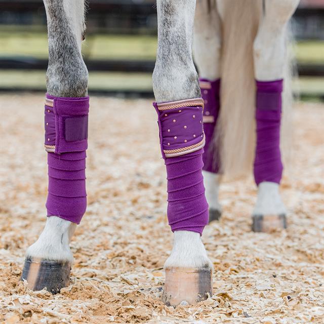 Bandages Horsegear Aurum Purple