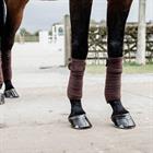 Bandages Kentucky Pearls Brown