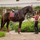 Bandages LeMieux Loire Dark Pink