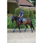 Bandages WeatherBeeta Mid Blue