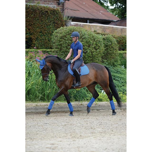 Bandages WeatherBeeta Mid Blue