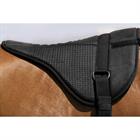 Bareback Pad Equithème Norton Black