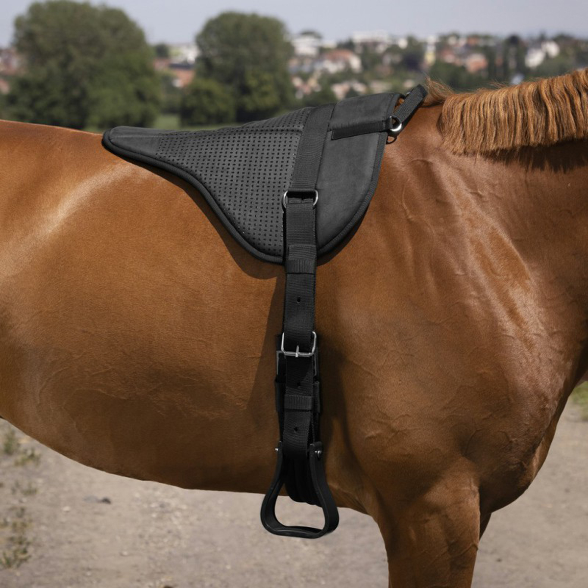 Bareback Pad Equithème Norton