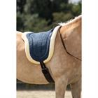 Bareback Pad Free Horse FHRaven Dark Blue