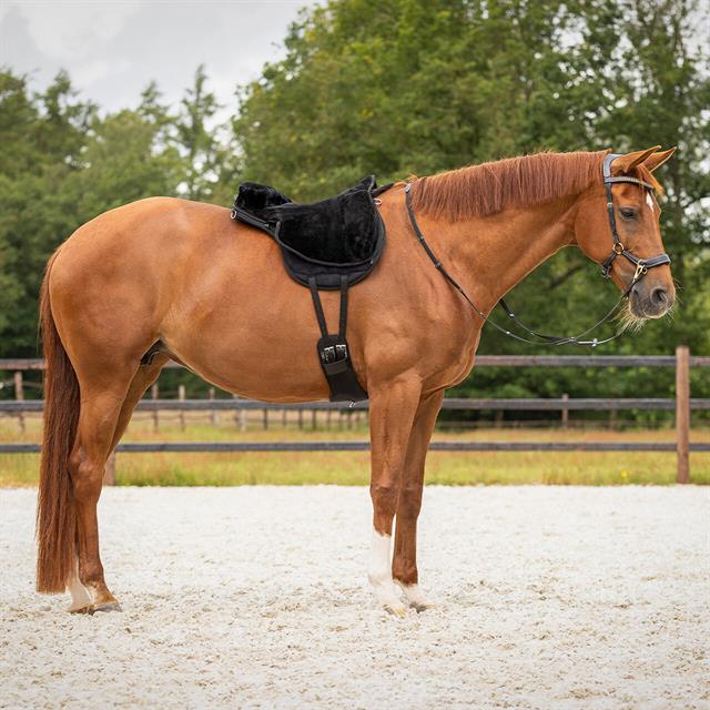 Bareback Pad QHP Super Soft Black-Black