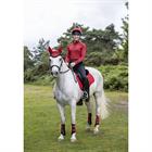 Baselayer LeMieux Trainingshirt Young Rider Red