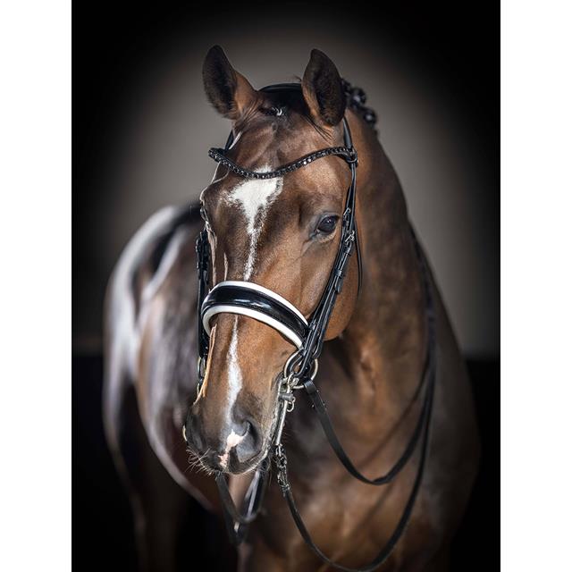 Bit LeMieux Kudos Black-White