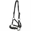 Bitless Bridle F.R.A. Miranti Hackamore Black