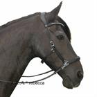 Bitless Bridle F.R.A. Rebecca Black