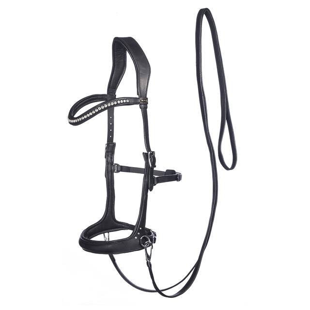 Bitless Bridle F.R.A. Rebecca Black