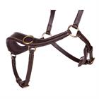 Bitless Bridle QHP Anatomical Brown