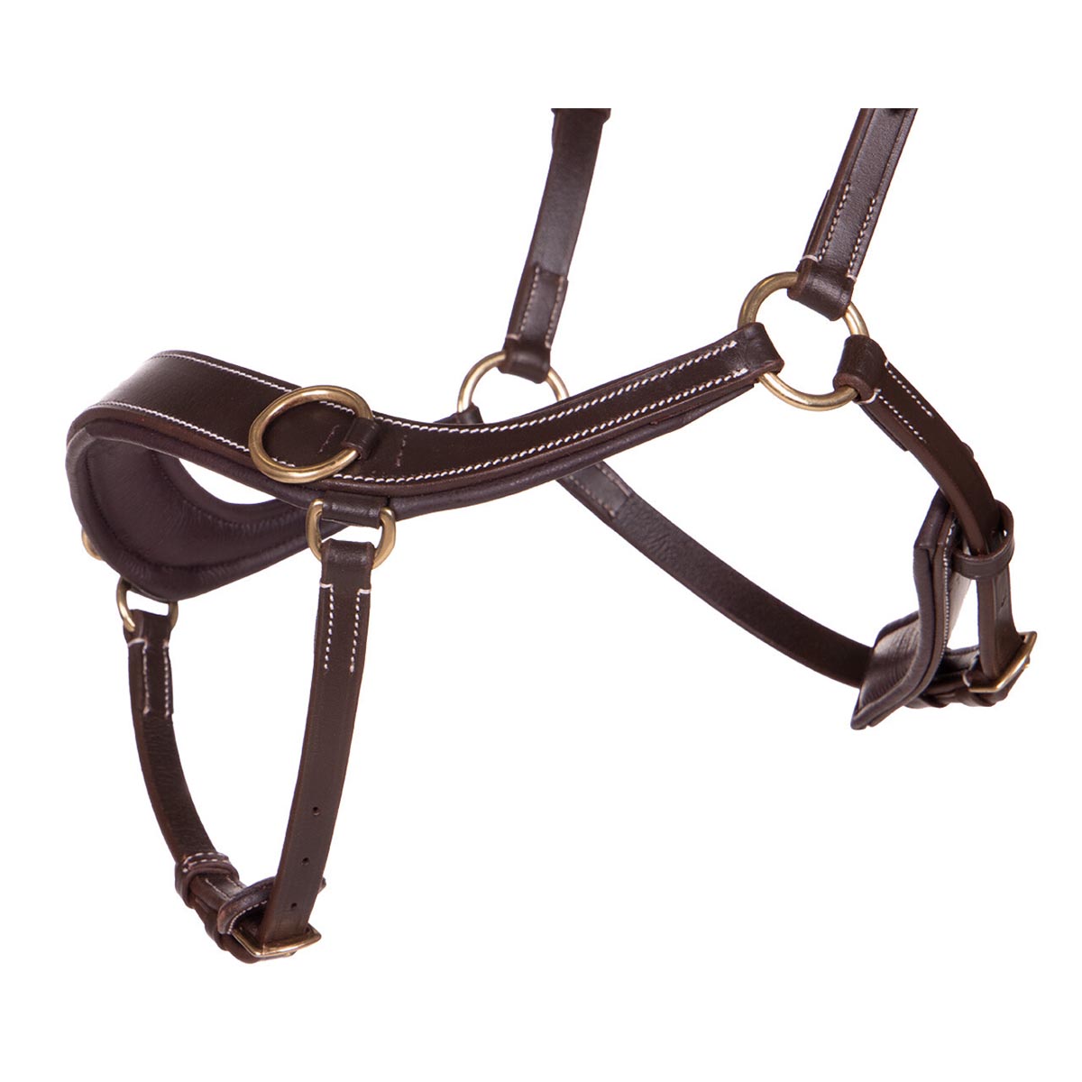 https://www.epplejeck.com/img/bitless-bridle-qhp-anatomical-brown_1500x1500_121979.jpg