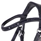 Bitless Bridle QHP Thunderbolt Black