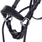 Bitless Bridle QHP Thunderbolt Black