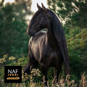 Blog New from NAF: Five Star Metazone