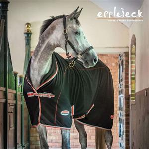 Blog The effect of 'Therapy Products' on your horse