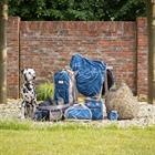 Boot Bag QHP Blue