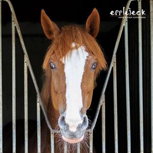 Boredom in the stable