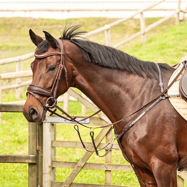 Breastplate Harry's Horse Rosegold Brown