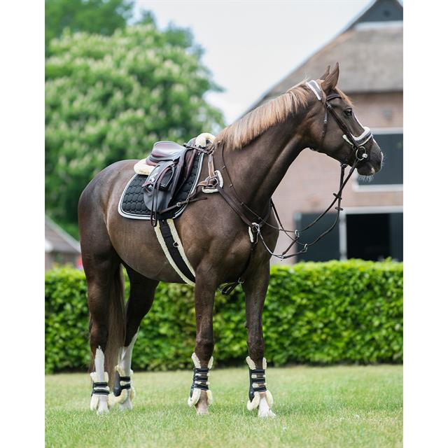 Breastplate QHP Ontario Brown