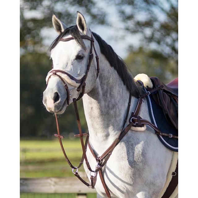 Breastplate QHP Ontario Brown