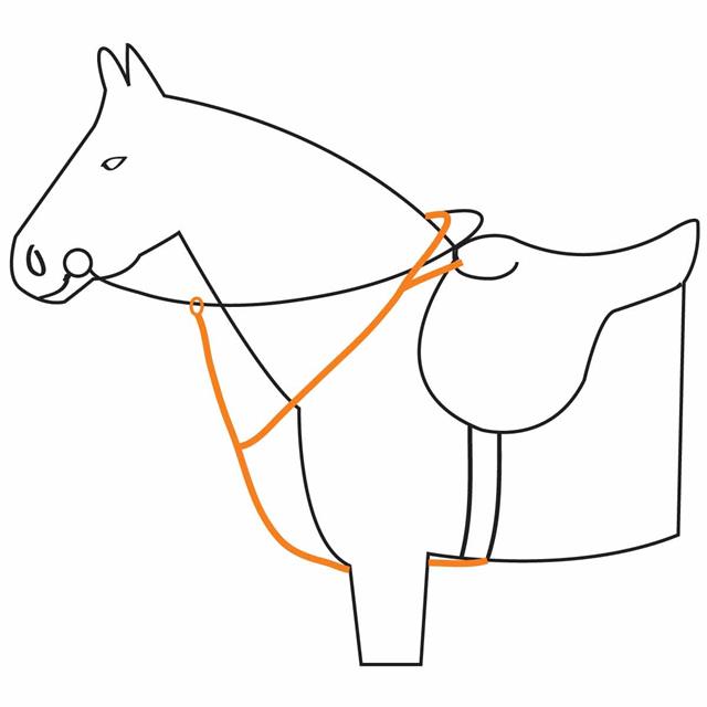 BREASTPLATE WITH MARTINGALE Black-Silver