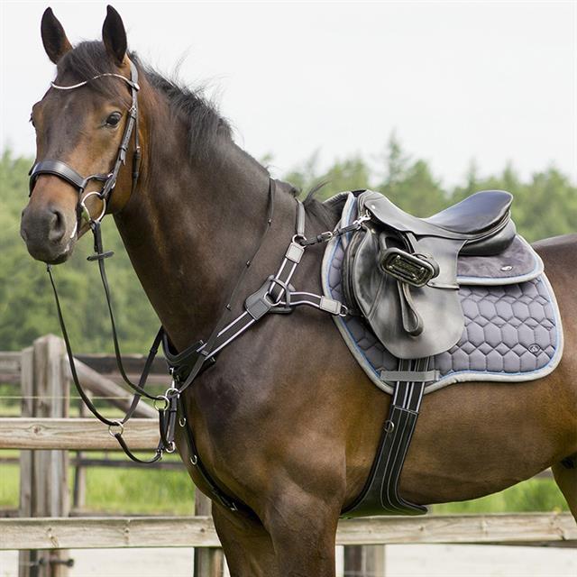 Breastplate With Martingale QHP Sedna Black