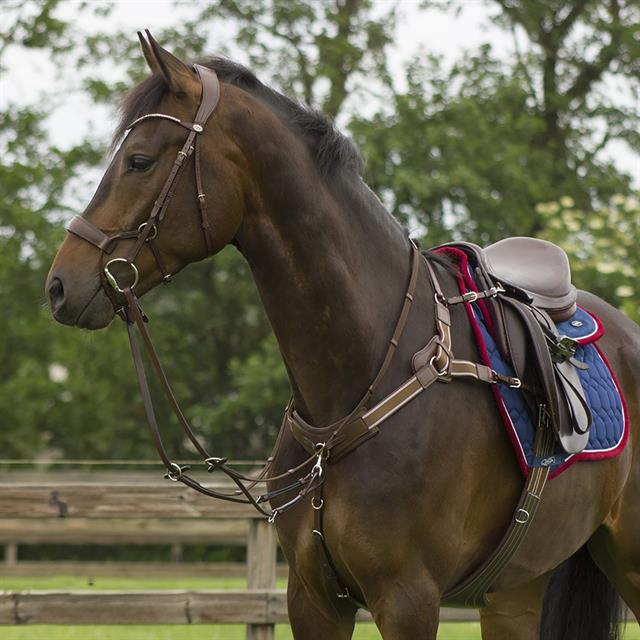 Breastplate With Martingale QHP Sedna Brown