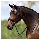 Bridle Anky Black