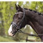 Bridle Anky Comfort Fit Combined Black-White