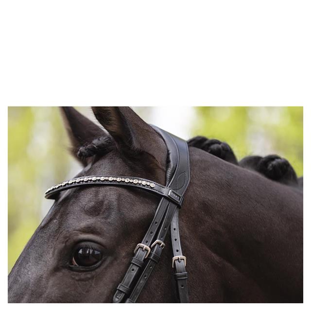 Bridle Anky Comfort Fit Double Anatomical Black